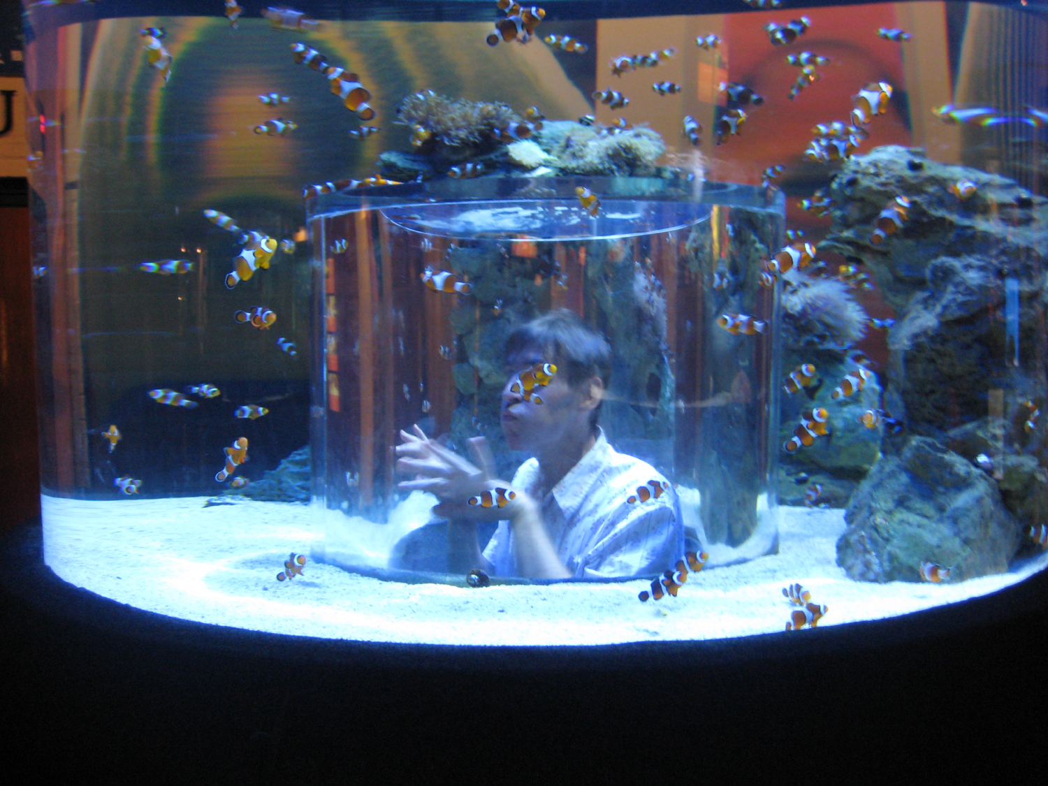 Mumbai Fish Aquarium